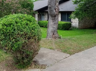 Kathryn G.'s Bush Trimming service result