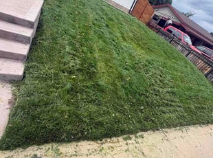 Melissa V.'s turf care service result