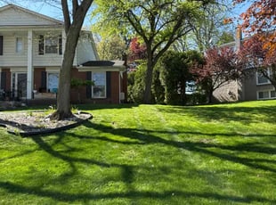 Eric W.'s grass cutting service result