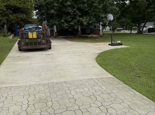 Raymond D.'s grass maintenance service result