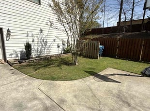 Jose V.'s lawn maintenance service result