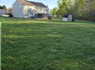 CHARLOTTE D.'s turf maintenance service result