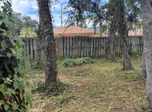 Markisha H.'s Long Grass Cleanup service result