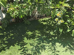 David F.'s grass cutting service result