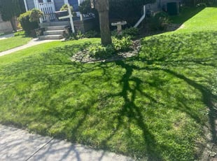 Kay m.'s lawn care service result