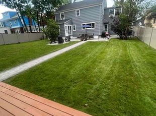 Anicka E.'s Leaf Removal service result