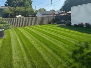 Jack B.'s lawn care service result
