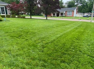 Martha D.'s grass maintenance service result