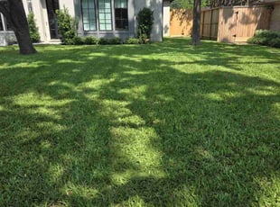 Richard S.'s lawn care service result