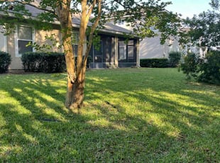 Eddie H.'s lawn service service result