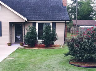 Robert L.'s Bush Trimming service result