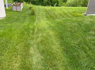 Virginia N.'s turf care service result