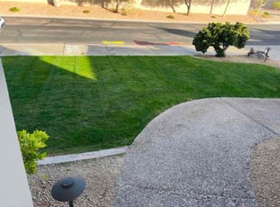 Kylie D.'s grass maintenance service result