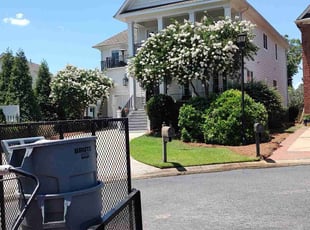 Rocco C.'s grass maintenance service result