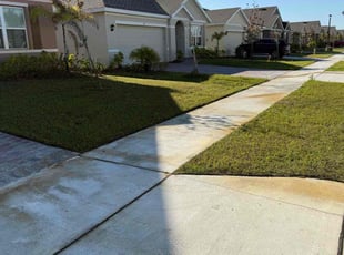Molinna P.'s grass maintenance service result