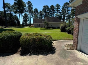 Terese M.'s turf care service result