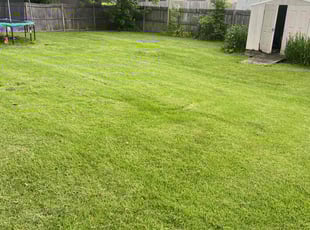 Chris L.'s grass maintenance service result