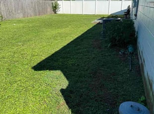 Tonya C.'s lawn maintenance service result