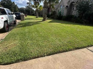 Brian R.'s lawn care services service result
