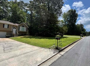 Genaro B.'s lawn care service result