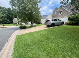 Sterling S.'s lawn service service result