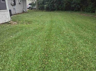 Carlos R.'s lawn maintenance service result