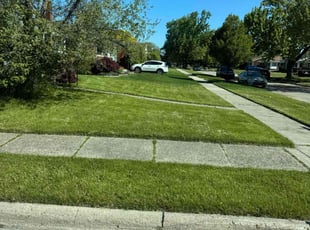 Suzanne W.'s lawn maintenance service result