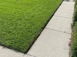 Devin B.'s Long Grass Cleanup service result