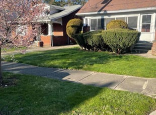 Sonya M.'s Leaf Removal service result
