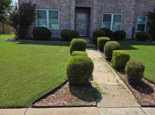 Wallace M.'s Bush Trimming service result