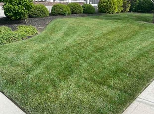 Robert R.'s lawn service service result