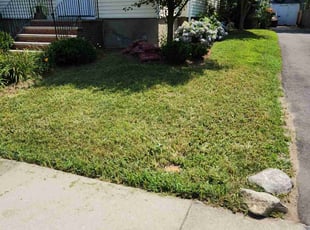 Christina h.'s turf maintenance service result