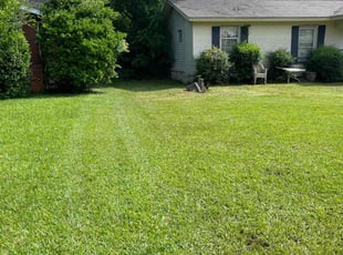 Zachary W.'s Long Grass Cleanup service result