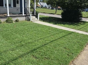 Darla B.'s lawn maintenance service result