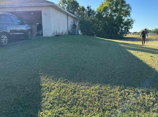Steven C.'s lawn maintenance service result