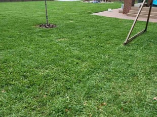 Rhonda R.'s lawn maintenance service result