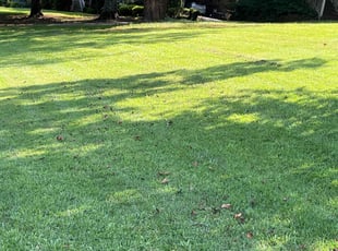 Harold W.'s gardening service service result