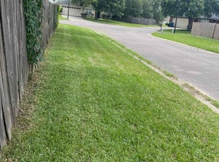 jessica B.'s lawn service service result