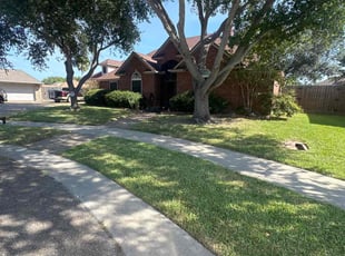 Nilza L.'s turf maintenance service result