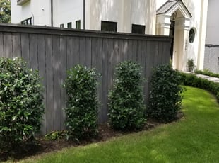 David V.'s Bush Trimming service result
