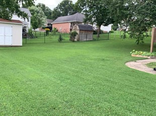 Tatevik H.'s lawn service service result