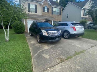 Nardine F.'s turf care service result