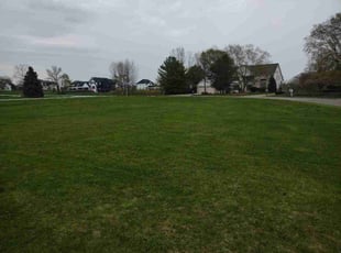 Vineel R.'s lawn care services service result
