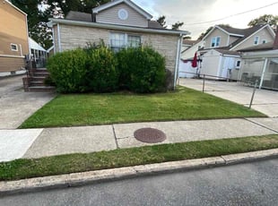 Helena C.'s lawn care service result