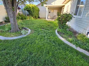 Nicholas T.'s lawn care services service result