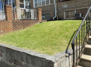 Kazi M.'s lawn care service result