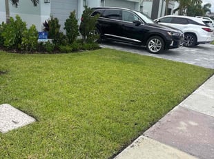 Rita K.'s lawn service service result