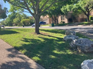 Christopher F.'s lawn care service result