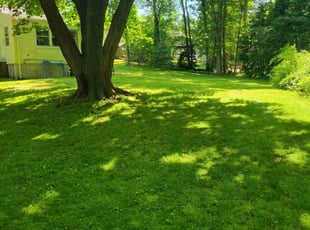 Scott J.'s lawn service service result