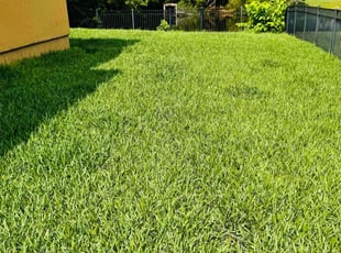 Rl, E.'s grass cutting service result